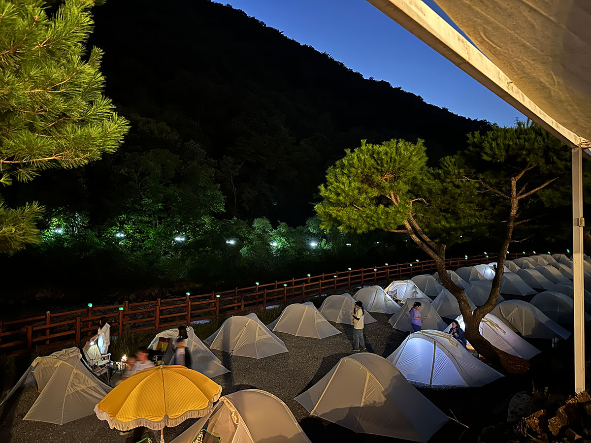 제20회 제천국제음악영화제, ‘캠핑 & 뮤직 페스티벌 호황’!