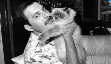 Freddie Mercury: The Great Pretender